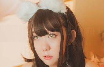 全套情人节猫猫，甜糖大魔王用猫咪甜得让人想挠抓！